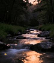 森林溪流傍晚自然风光606#横屏 