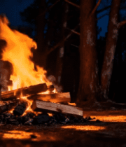 森林篝火燃烧场景4557#横屏 