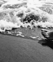 人在海边踏浪特写1592#横屏 