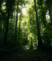 人在雪山雪地中徒步1745#横屏 