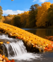 秋季溪流边斑斓树林景色4439#横屏 