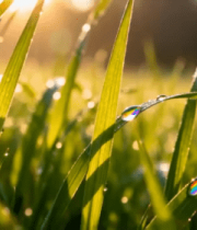 茄子土豆家常菜搭配米饭2095#横屏 