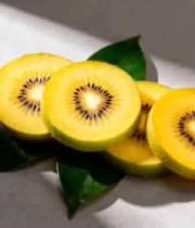  黄心猕猴桃切片特写2428#横屏 	 