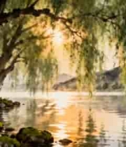  湖畔垂柳自然风光(1)2910#横屏 	 