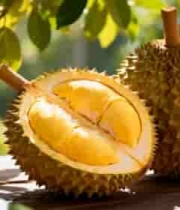  户外木桌上的新鲜榴莲2985#横屏 	 -