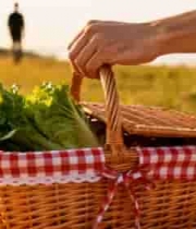  户外野餐手拎菜篮画面388#横屏 	 - 