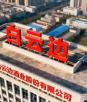  湖北白云边酒业公司大楼俯瞰2723#横屏 	 