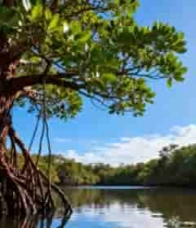 男子户外日落时阅读剪影1167#横屏 