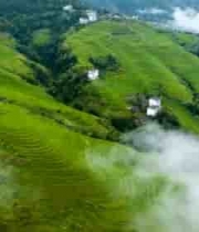  航拍云雾缭绕的绿色梯田风光2223#横屏 	 -