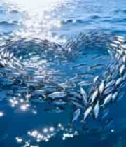  海洋中鱼群组成心形图案2246#横屏 	 