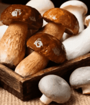 木盒中摆放的新鲜蘑菇素材1503#横屏 