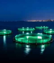  海上夜间水产养殖网箱961#横屏 	 