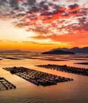  海上日落时分的养殖场景486#横屏 	 - 