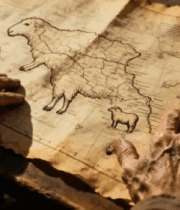 老人双手查看复古地图3455#横屏 