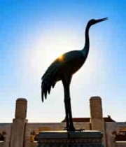  故宫仙鹤雕塑逆光景观1495#横屏 	 