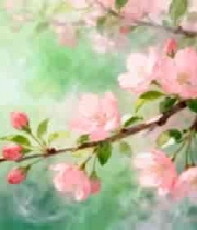  粉色花朵枝头特写618#横屏 	 