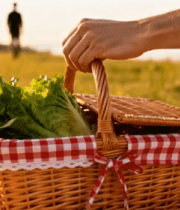 户外野餐手拎野餐篮1863#横屏 