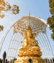 户外金色观音佛像景观914#横屏 