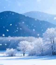  冬日雪林山脉全景743#横屏 	 