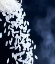  大米从容器中倾倒洒落画面2922#横屏 	 