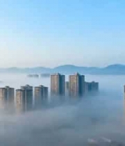  城市高楼平流雾景观2156#横屏 	 