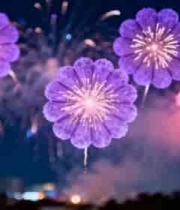  紫色烟花绽放夜景3277#横屏 	 