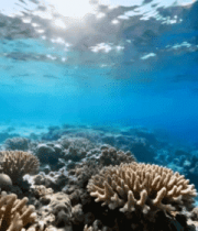 桂林喀斯特地貌云海日出5385#横屏 