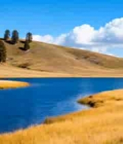  草原湖泊与树木自然景观2214#横屏 	 