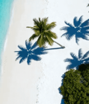 俯瞰海滩与棕榈树3433#横