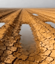 干旱开裂的农田景象4164#横