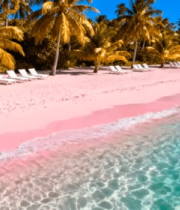 粉色沙滩海景与棕榈树157#横