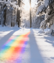 冬日森林雪地彩虹光影3676#横