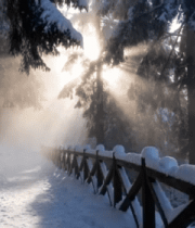 冬日雪林阳光照射木质围栏1658#横