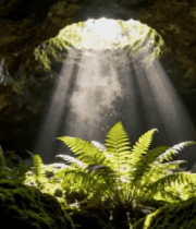 洞穴内阳光穿透绿植景象5417#横