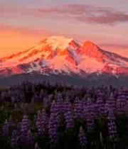  雪山日落唯美自然景观2672#横屏 	 