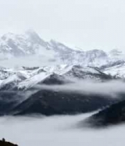  雪山之巅的雪豹2698#横屏 	 