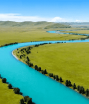 晨光下带露珠的嫩绿草地368#横