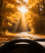 车内视角赏秋日森林风景3200#横