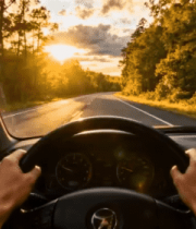 车内视角驾驶于林间道路2186#横