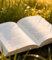 草地上的翻开的书籍277#横