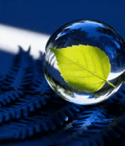 玻璃球内绿叶特写2879#横