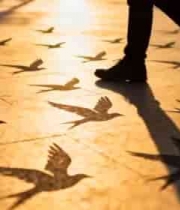  夕阳下的行人剪影2403#横屏 