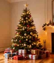  温馨圣诞室内装饰2333#横屏 	 