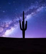  沙漠星空下的仙人掌剪影1924#横屏 	 -