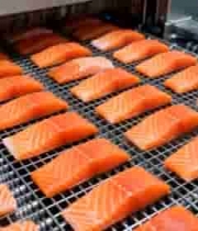  三文鱼加工流水线作业1882#横屏 	 