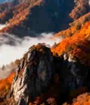  秋日云海壮丽山川1802#横屏 	 