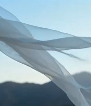  飘逸白纱山间飞舞1698#横屏 	 -