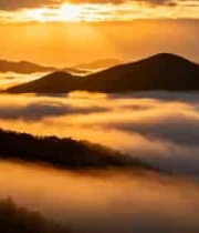  金色朝阳云海山川1140#横屏 	 