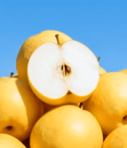 黄梨丰收堆成山985#横屏 