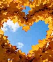  金秋枫叶心形天空1128#横屏 	 